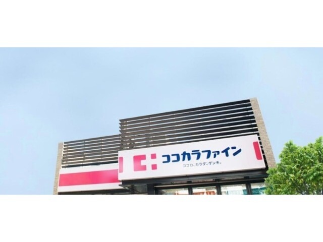 ドラッグストア